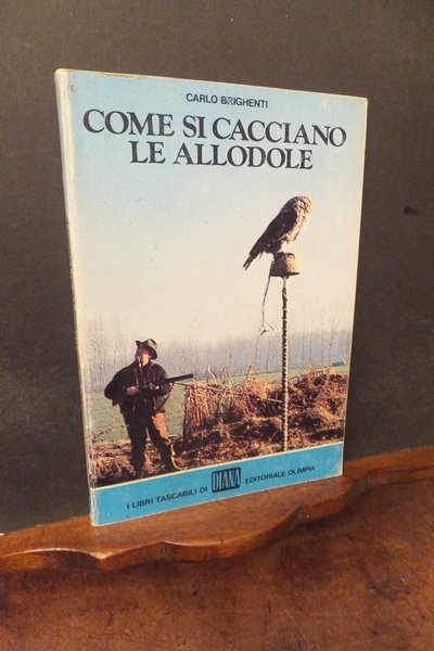 COME SI CACCIANO LE ALLODOLE