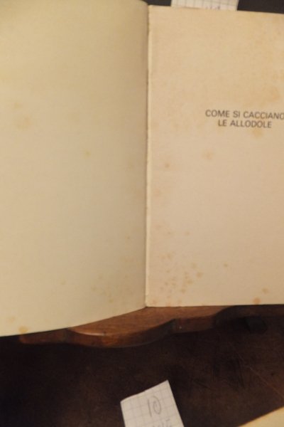 COME SI CACCIANO LE ALLODOLE
