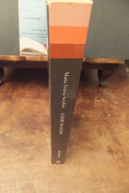 COME SI STUDIA MARIA TERESA SERAFINI | Immagine Gallery 3