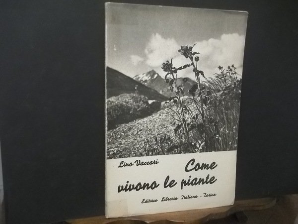COME VIVONO LE PIANTE