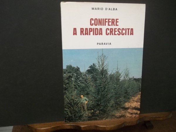 CONIFERE A RAPIDA CRESCITA