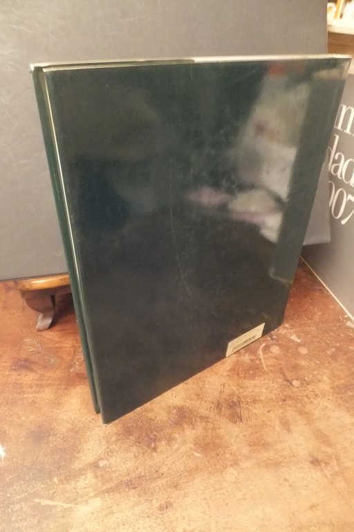 CONTRADE CISALPINE - SVIZZERA ITALIANA - RAFFAELLO CESCHI