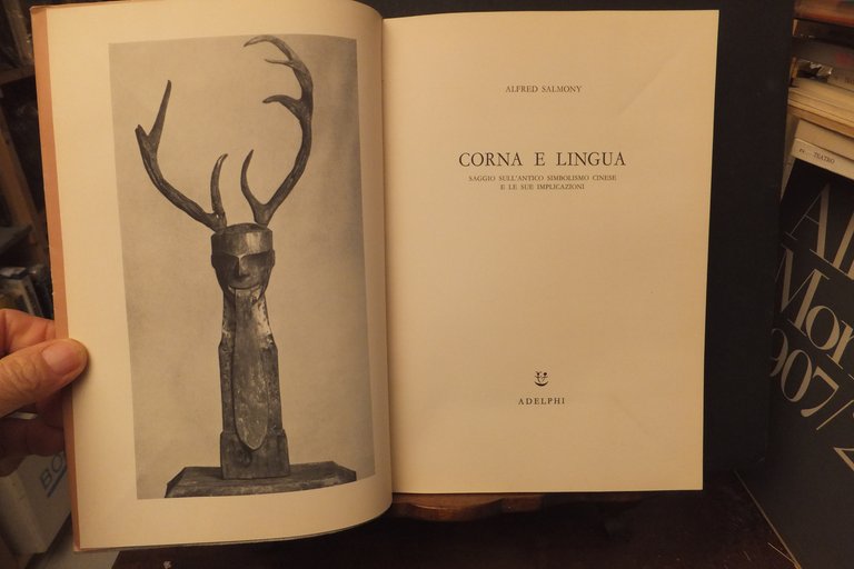 CORNA E LINGUA ALFRED SALMONY | Immagine Gallery 5
