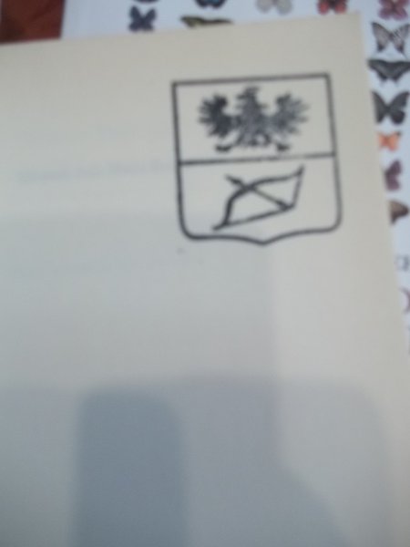 COSTRETTI A SANGUINARE IL ROMANZO DEL PUNK ITALIANO 1977 - …