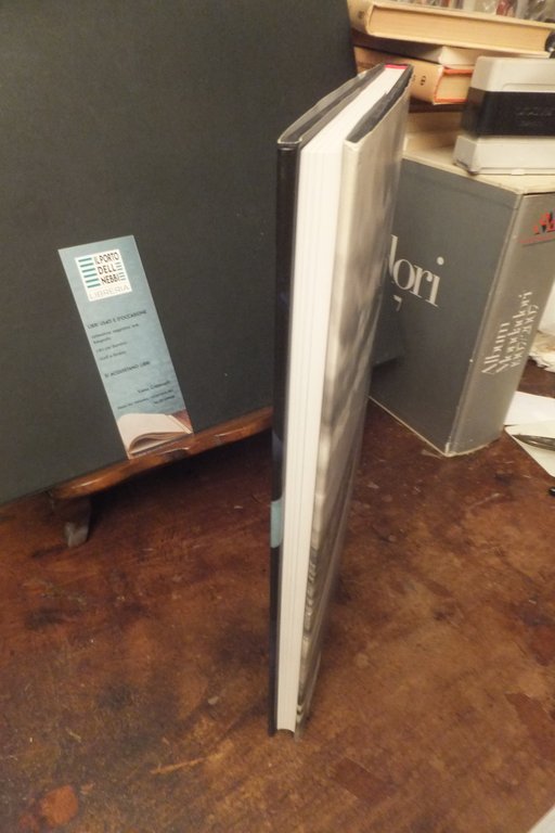 DEX AND LANDSCAPES HELMUT NEWTON