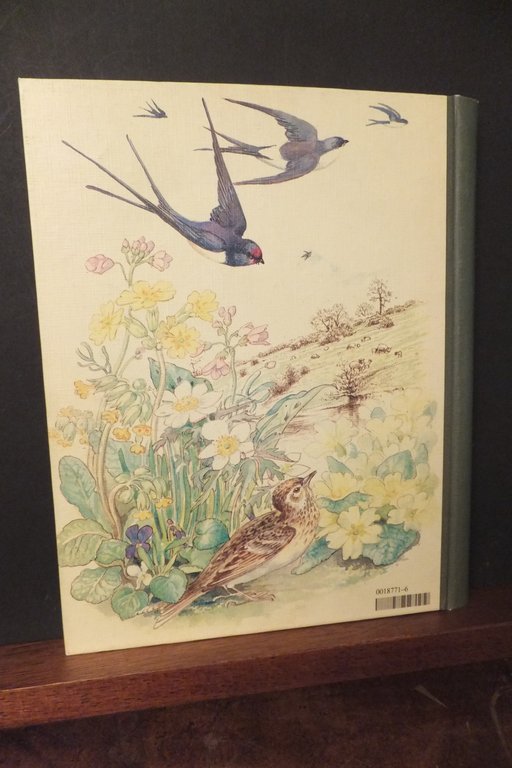 DIARIO DELLA SIGNORA DI CAMPAGNA AGENDA 1981 | Immagine Gallery 2