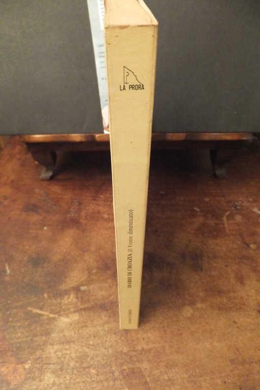 DIARIO DI CROAZIA IL FRONTE DIMENTICATO ARTURO D'AMICO