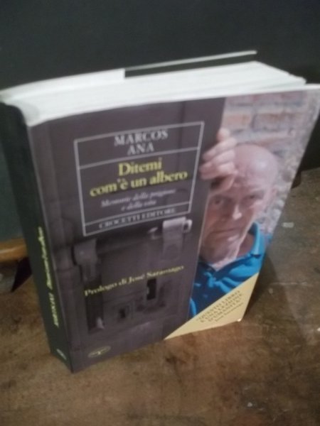 DITEMI COM'E' UN ALBERO MEMORIE DELLA PRIGIONE E DELLA VITA