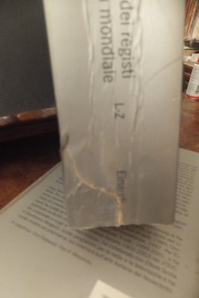 DIZIONARIO DEI REGISTI DEL CINEMA MONDIALE