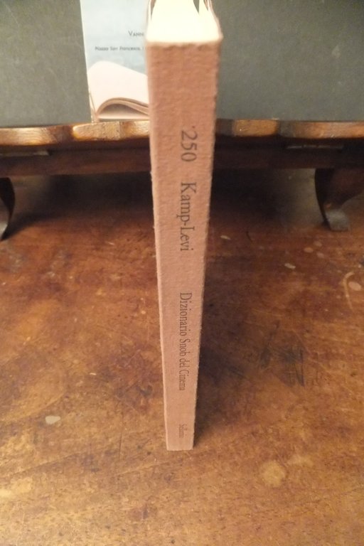 DIZIONARIO SNOB DEL CINEMA DAVID KAMP LAWRENCE LEVI