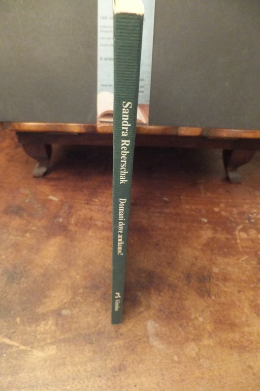 DOMANI DOVE ANDIAMO? SANDRA REBERSCHAK