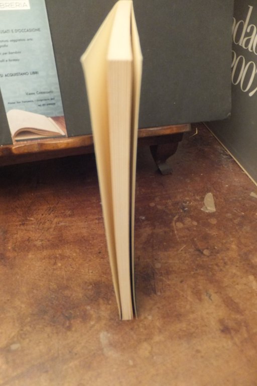 DOMANI DOVE ANDIAMO? SANDRA REBERSCHAK