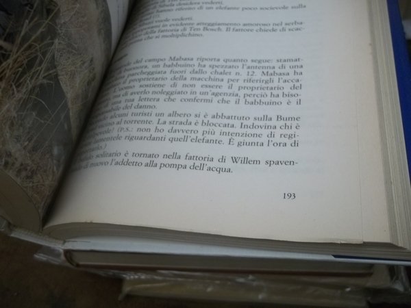 E NEL CUORE UN LEONE