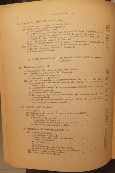 ELEMENTI DI BOTANICA PER GLI STUDI DI BIOLOGIA SCIENZE NATURALI …