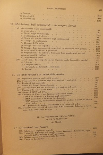 ELEMENTI DI BOTANICA PER GLI STUDI DI BIOLOGIA SCIENZE NATURALI …