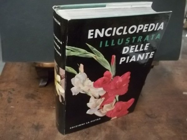 ENCICLOPEDIA ILLUSTRATA DELLE PIANTE