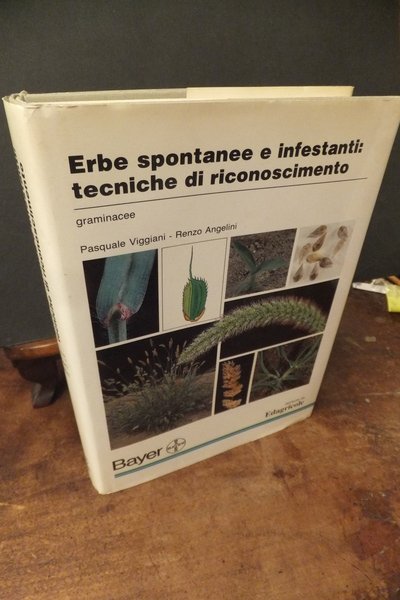 ERBE SPONTANEE E INFESTANTI TECNICHE DI RICONOSCIMENTO - GRAMINACEE