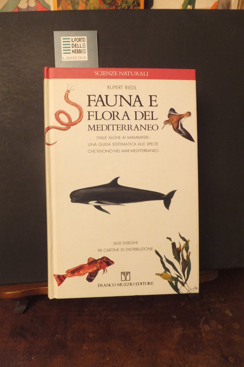 FAUNA E FLORA DEL MEDITERRANEO RUPERT RIEDI