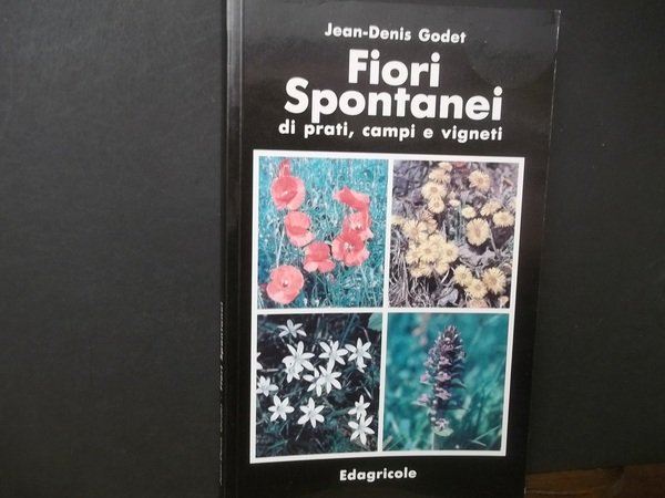 FIORI SPONTANEI DI PRATI CAMPI VIGNETI