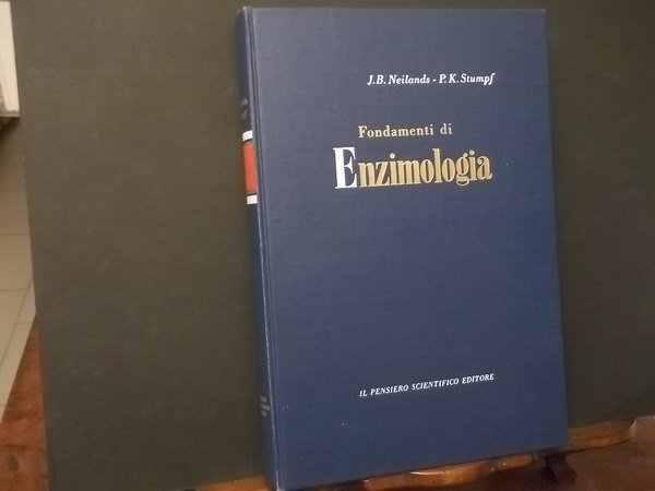 FONDAMENTI DI EZIMOLOGIA | Immagine principale