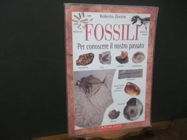 FOSSILI PER CONOSCERE IL NOSTRO PASSATO | Immagine principale