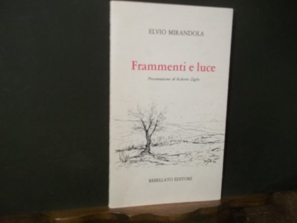 FRAMMENTI E LUCE - POESIA