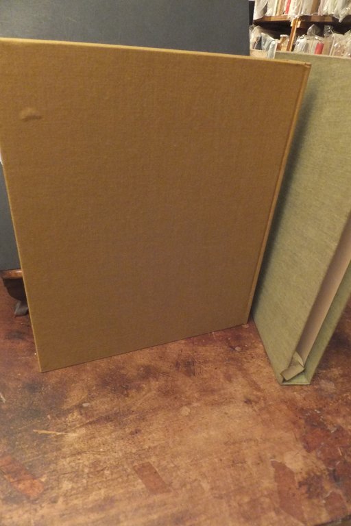 FRANCOIS MATHIEU LE GRANDI MONOGRAFIE PITTORI D'OGGI