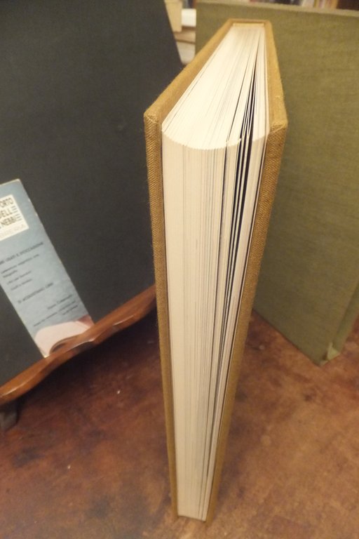 FRANCOIS MATHIEU LE GRANDI MONOGRAFIE PITTORI D'OGGI