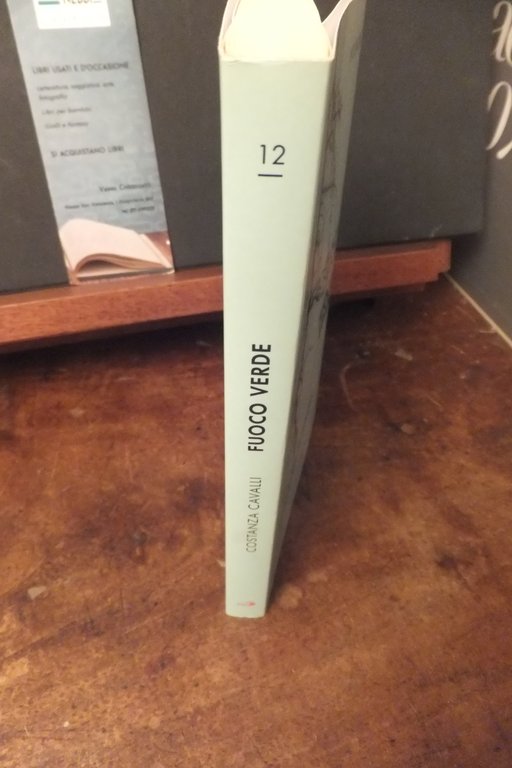 FUOCO VERDE ILDEGARDA DI BINGEN DONNA DEL MISTERO COSTANZA CAVALLI