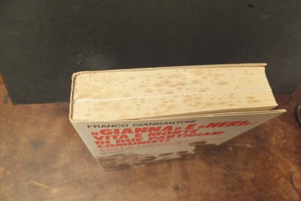 GIANNA E NERI VITA E MORTE DI DUE PARTIGIANI COMUNISTI …