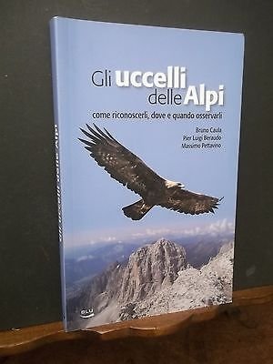 GLI UCCELLI DELLE ALPI COME RICONOSCERLI