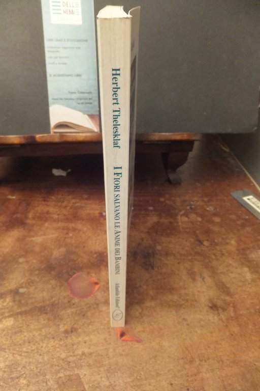 I FIORI SALVANO LE ANIME DEI BAMBINI I FIORI DI …