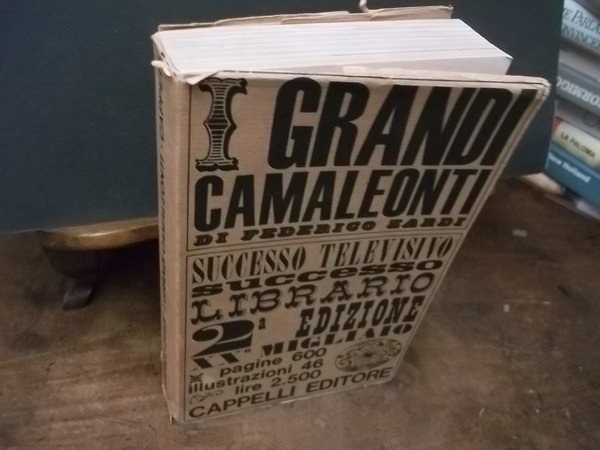 I GRANDI CAMALEONTI | Immagine principale