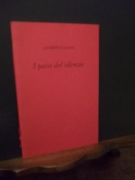 I PASSI DEL SILENZIO