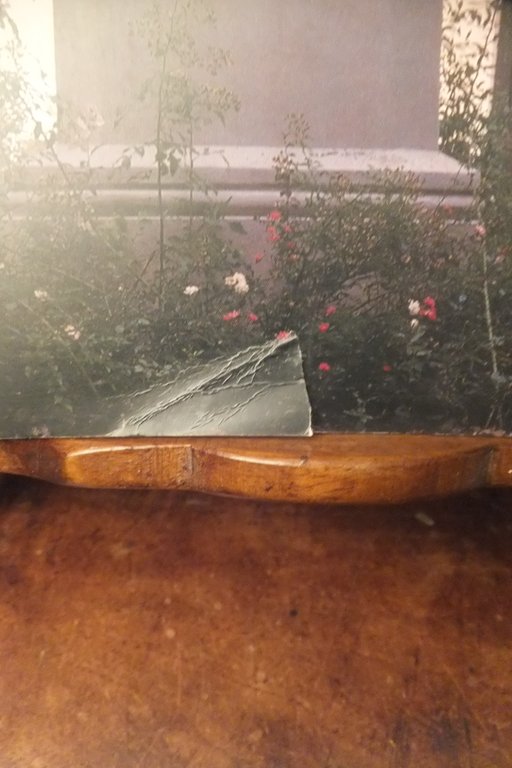 I PASTORE A CASTIGLIONE DELLE STIVIERE STORIA DI UINA FAMIGLIA …