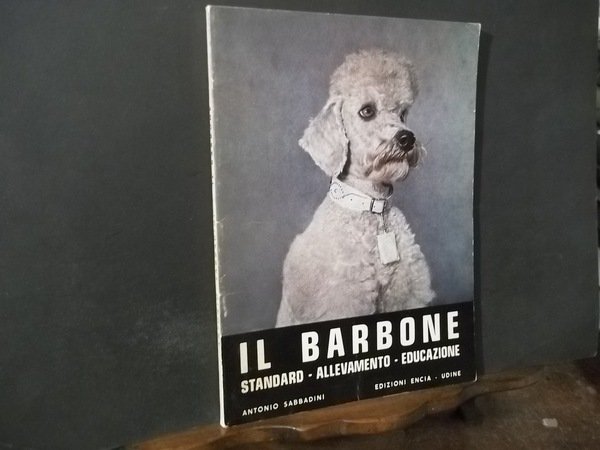 IL BARBONE STANDARD - ALLEVAMENTO - EDUCAZIONE