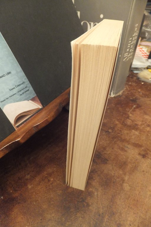 IL BOSCO DELLE VOLPI