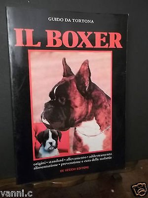 IL BOXER
