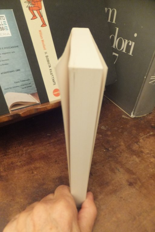 IL BUDDISTA RILUTTANTE WILLIAM WOOLLARD