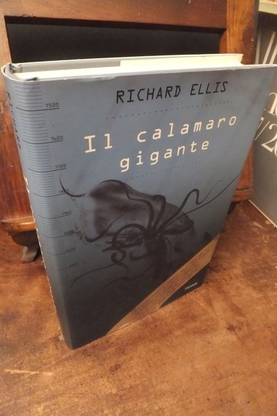 IL CALAMARO GIGANTE