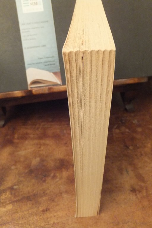 IL CONVOGLIAMENTO DEGLI SCARICHI D'EMERGENZA NELLA INDUSTRIA CHIMICA | Immagine Gallery 4