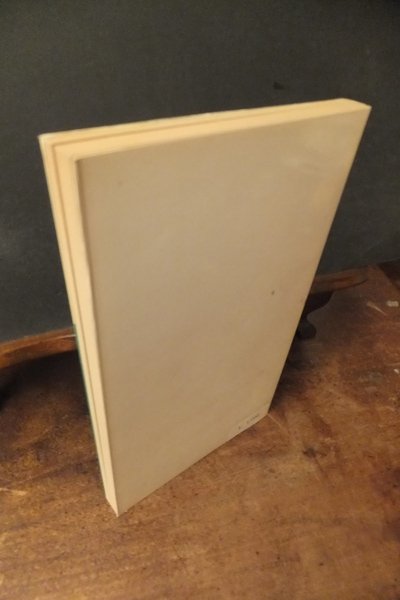 IL CORTILE MALEDETTO