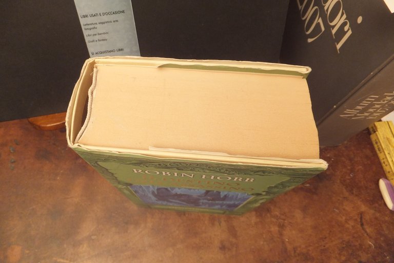 IL DESTINO DELL'ASSASSINO ROBIN HOBB | Immagine Gallery 5