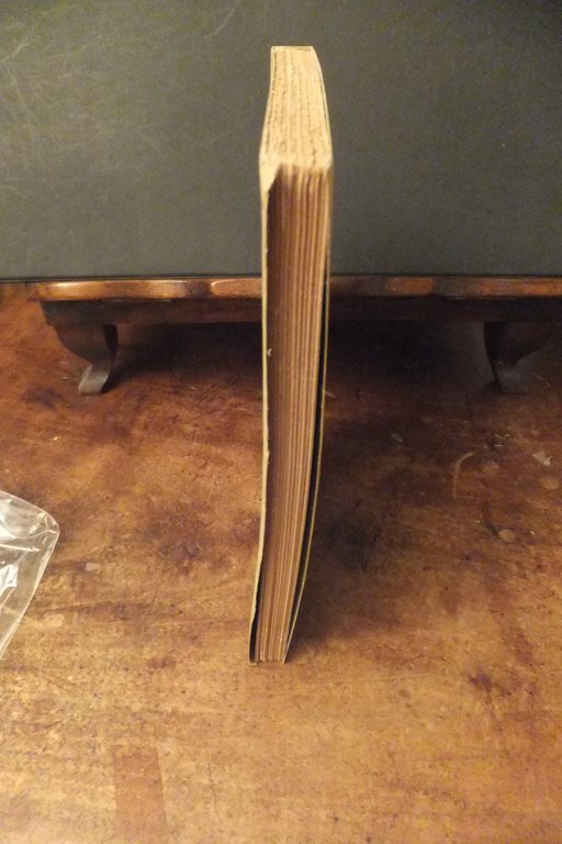 IL FANALINO DELLA BATTIMONDA ANTONIO DELFINI