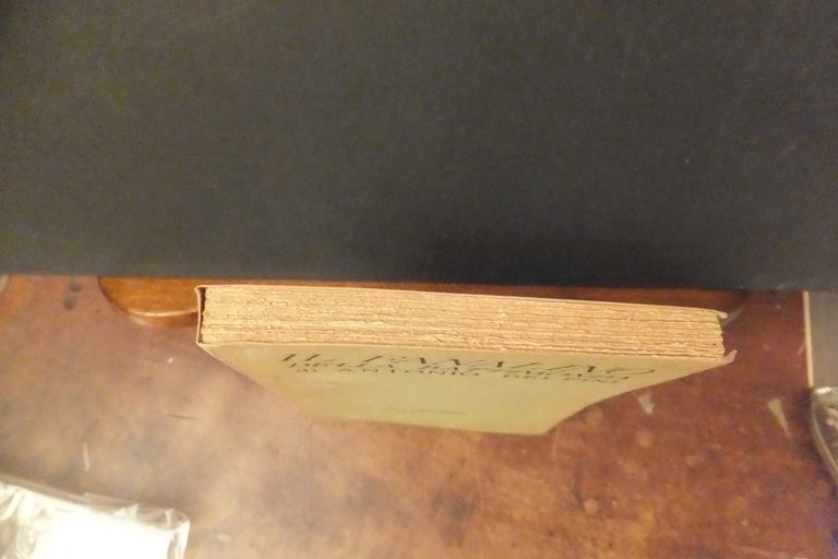 IL FANALINO DELLA BATTIMONDA ANTONIO DELFINI