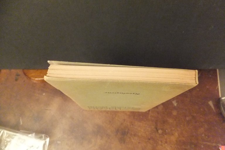 IL FANALINO DELLA BATTIMONDA ANTONIO DELFINI