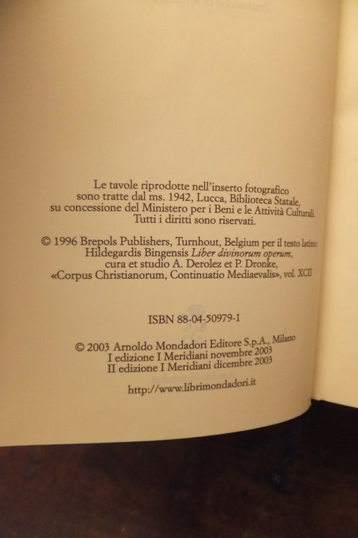 IL LIBRO DELLE OPERE DIVINE ILDEGARDA DI BINGEN