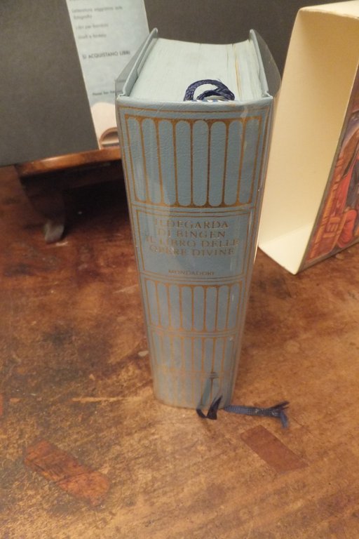 IL LIBRO DELLE OPERE DIVINE ILDEGARDA DI BINGEN