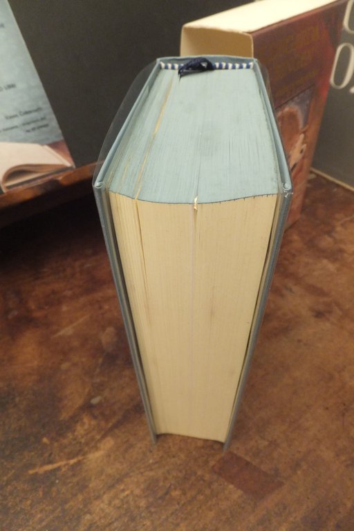 IL LIBRO DELLE OPERE DIVINE ILDEGARDA DI BINGEN