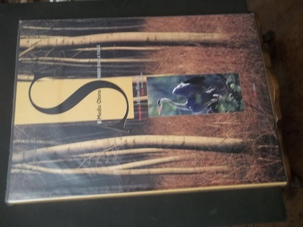 IL MEDIO OLONA SORRISI DALLA VALLE